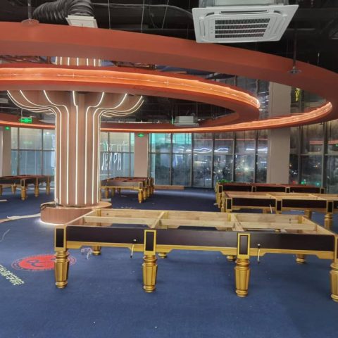 郑州李建兵台球学院斯诺克11台独牙14台！为学员用职业球台！