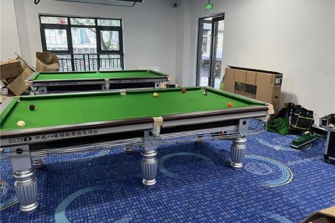 鹿邑自助球房8台东方定制台